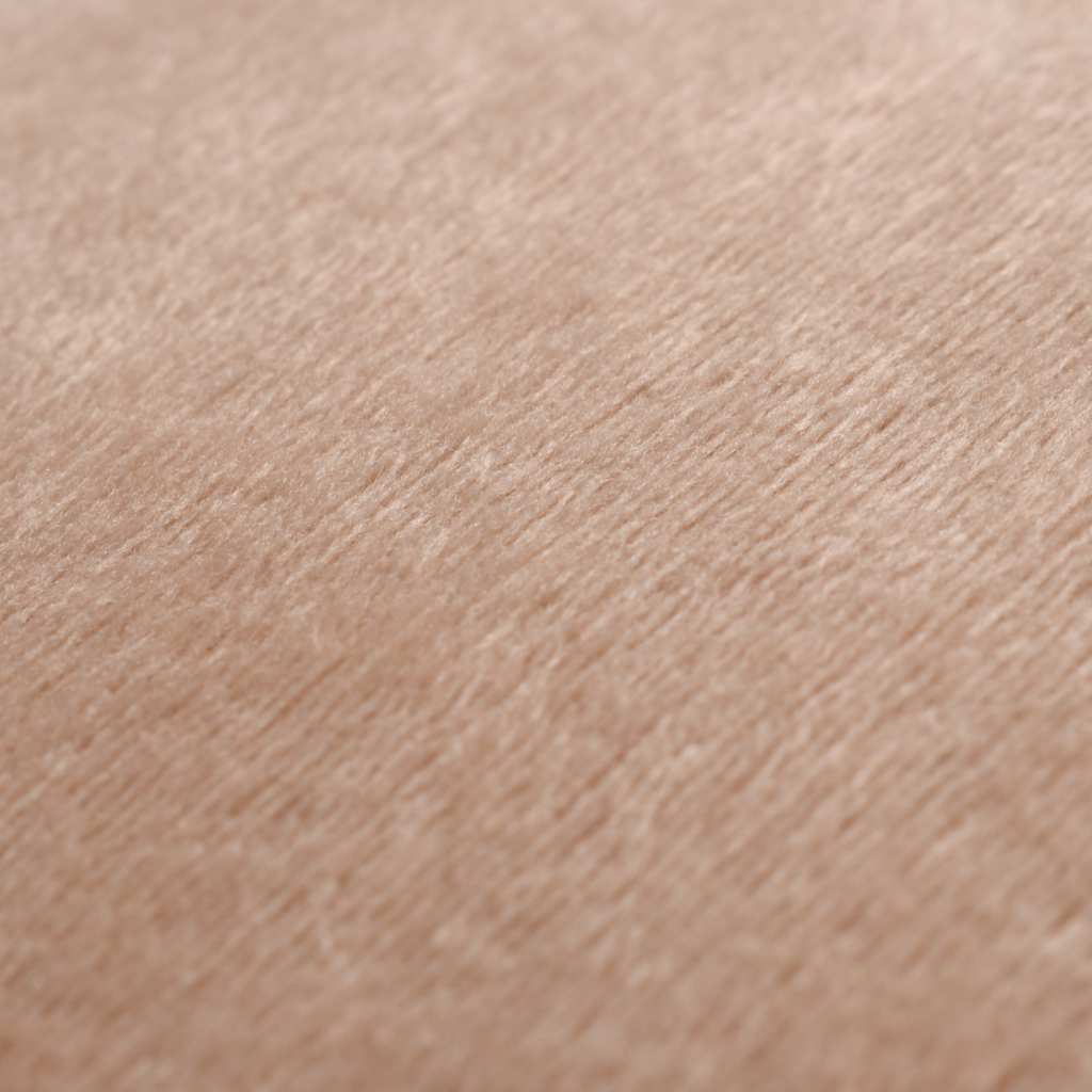 Set di Cuscini 2 pz in Tessuto 60x60 cm Beige
