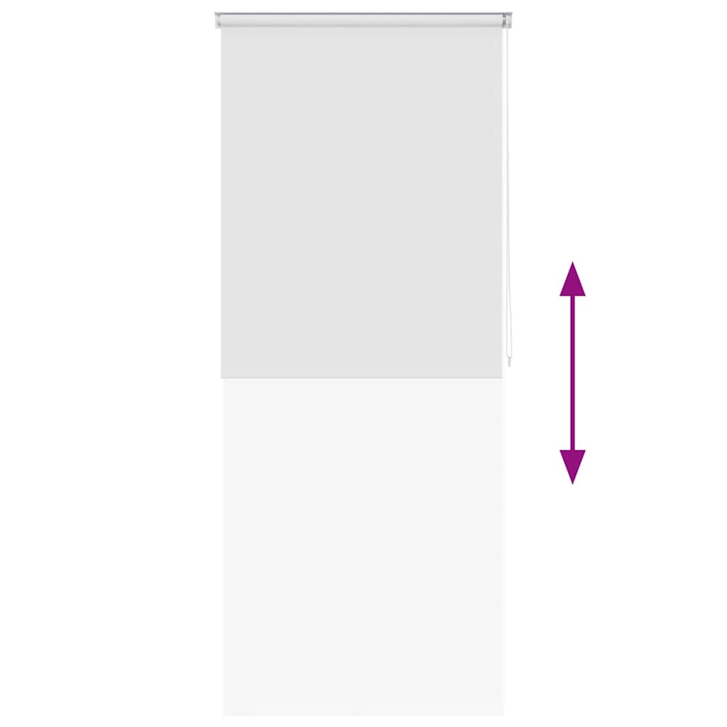 Tenda a Rullo per Doccia 120x240 cm Bianco