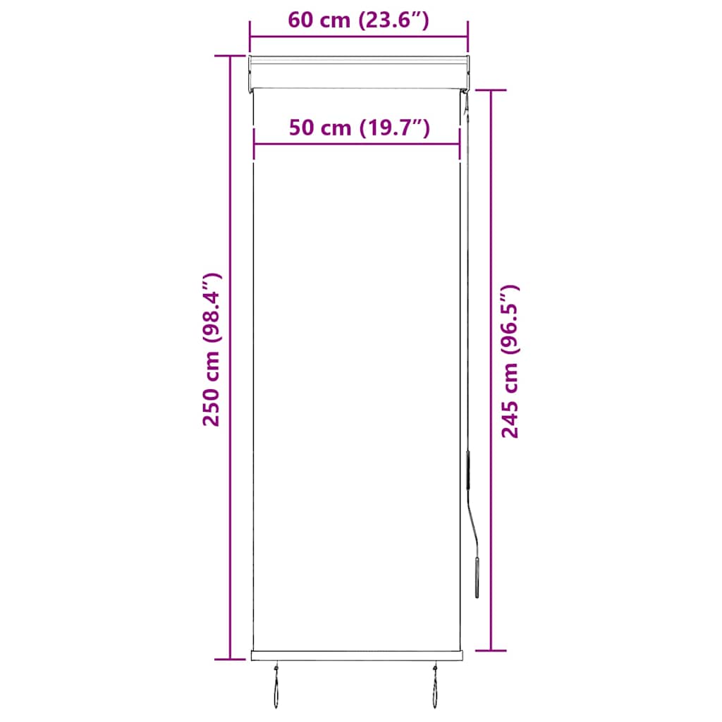 Tenda a Rullo per Esterni 60x250 cm Bianca e Arancione