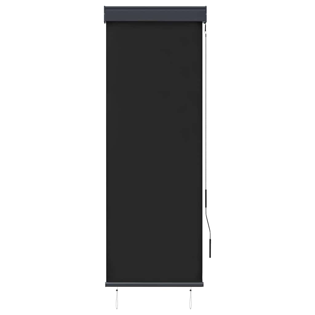 Tenda a Rullo per Esterni 60x250 cm Antracite