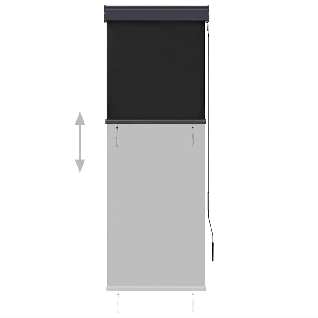 Tenda a Rullo per Esterni 60x250 cm Antracite