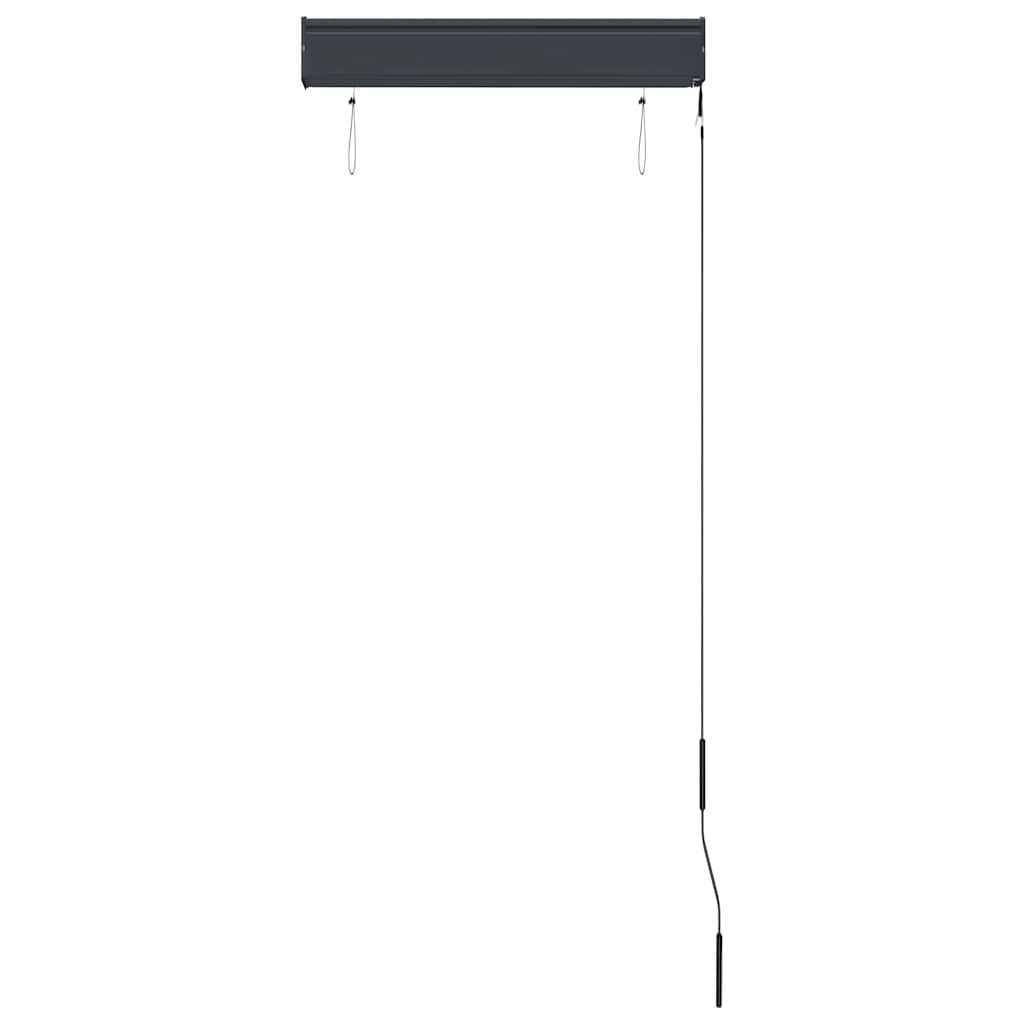 Tenda a Rullo per Esterni 60x250 cm Antracite