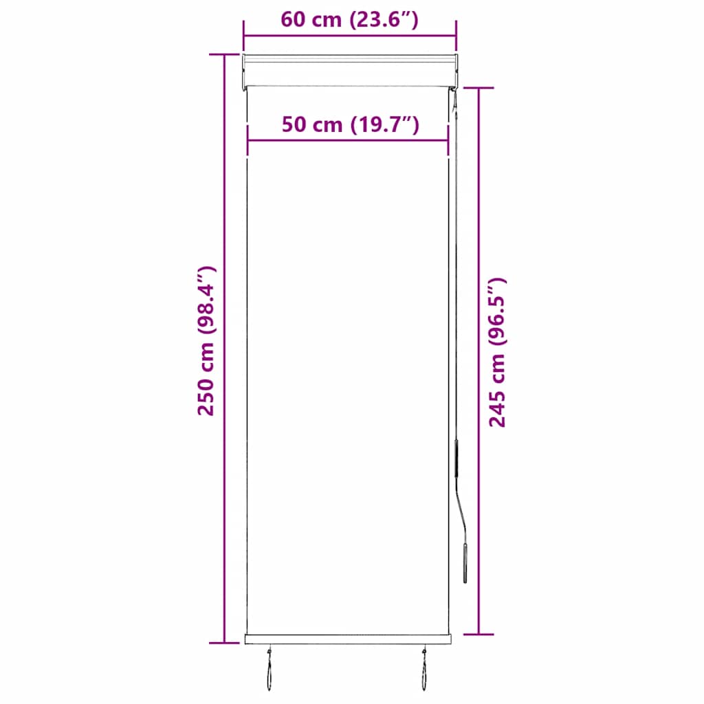 Tenda a Rullo per Esterni 60x250 cm Antracite