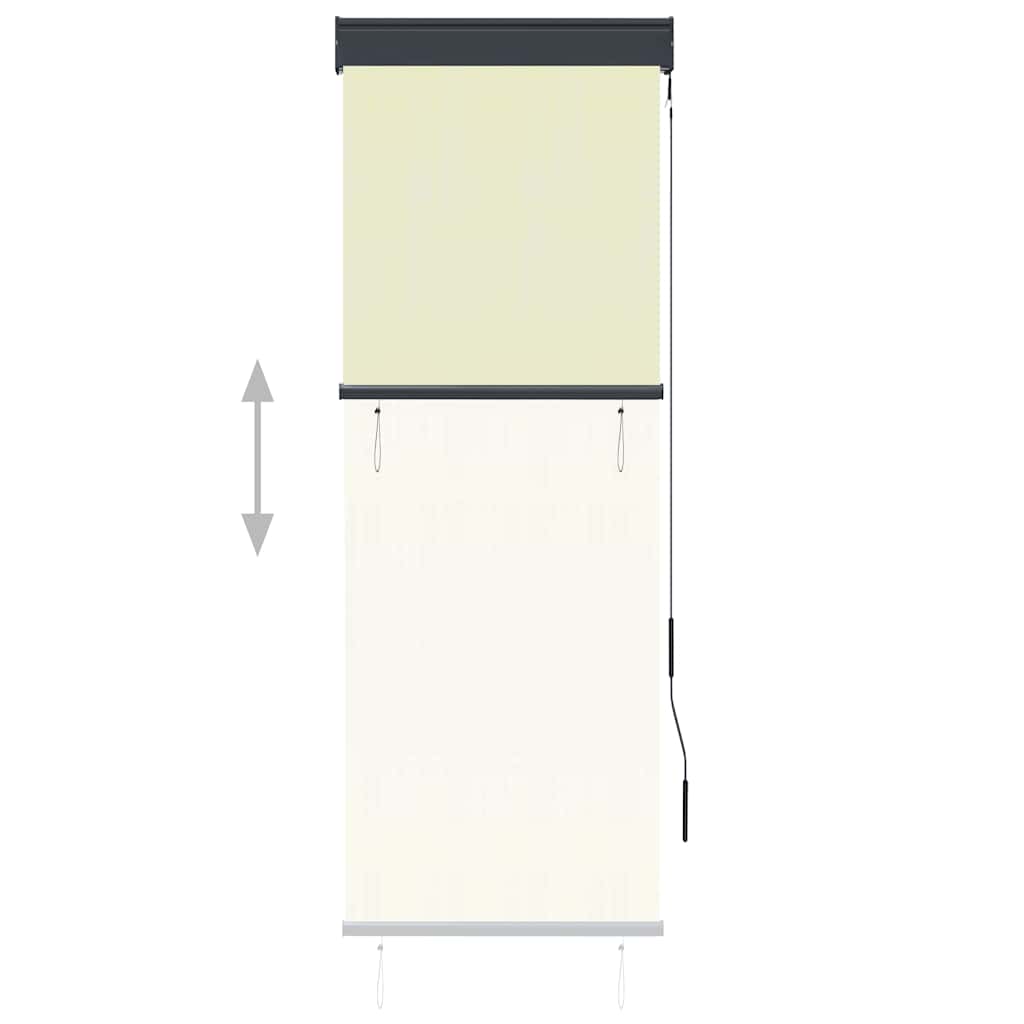Tenda a Rullo per Esterni 60x250 cm Crema