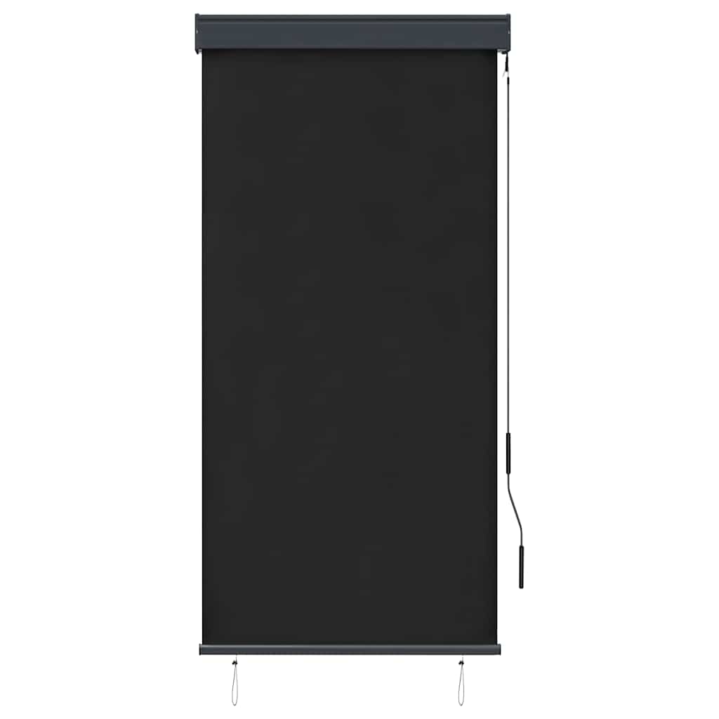 Tenda a Rullo per Esterni 80x250 cm Antracite