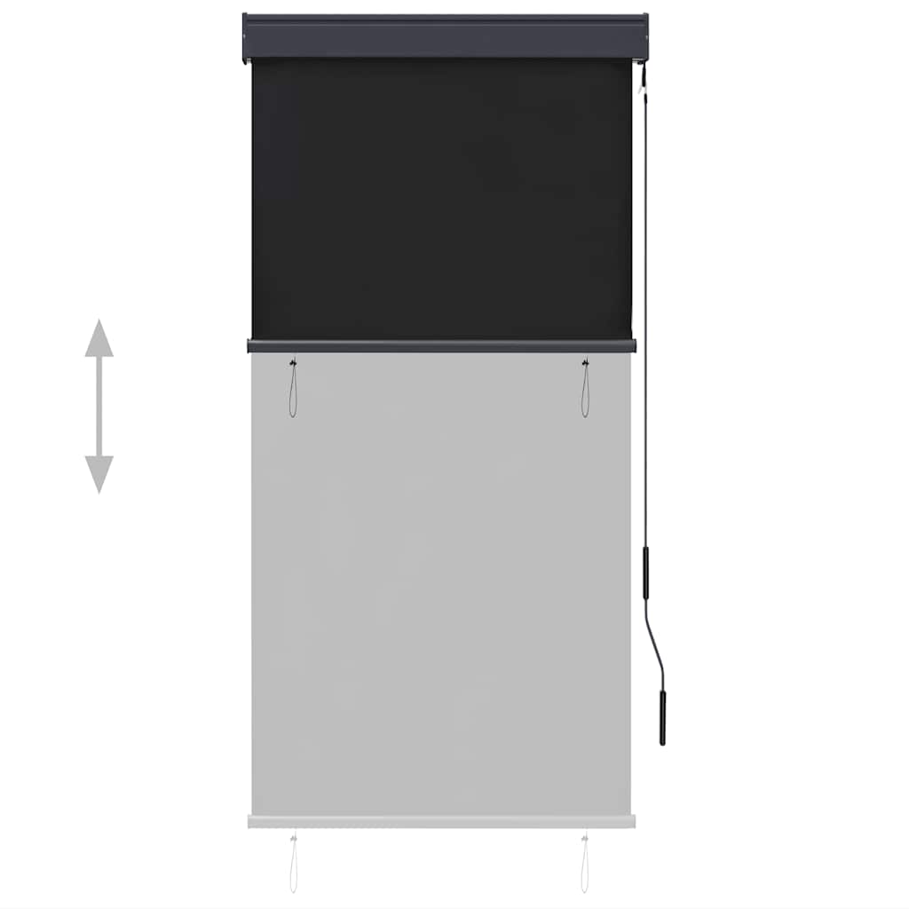 Tenda a Rullo per Esterni 80x250 cm Antracite