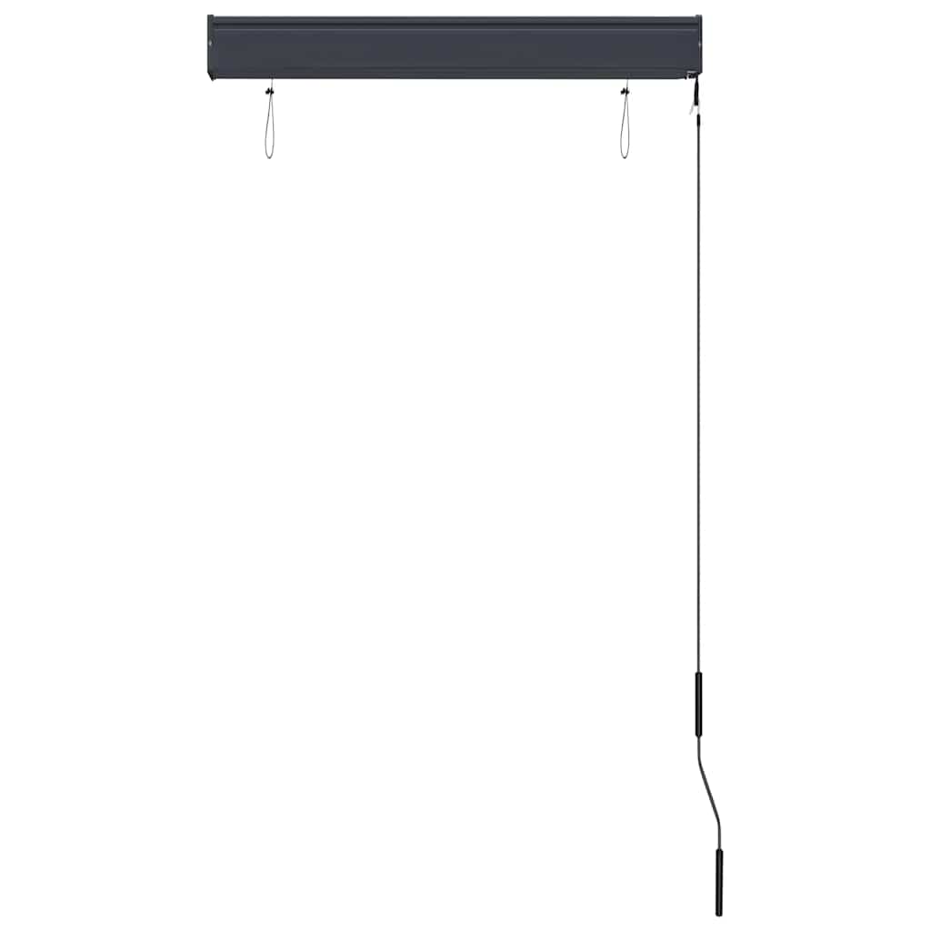 Tenda a Rullo per Esterni 80x250 cm Antracite