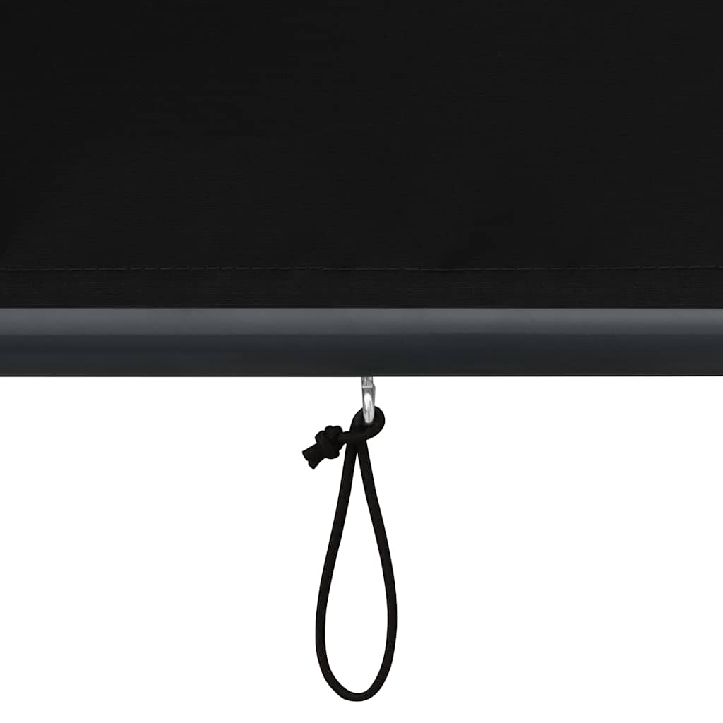 Tenda a Rullo per Esterni 80x250 cm Antracite