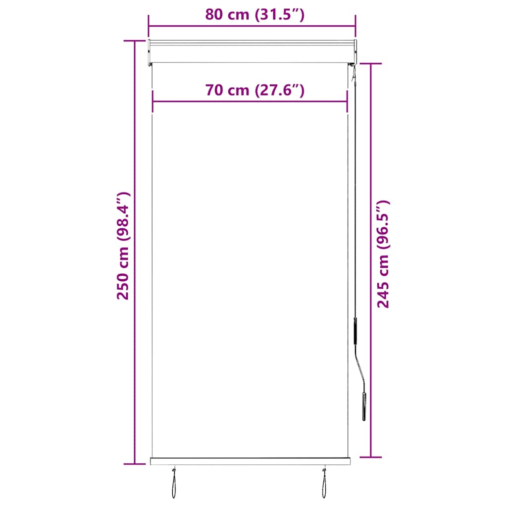 Tenda a Rullo per Esterni 80x250 cm Crema