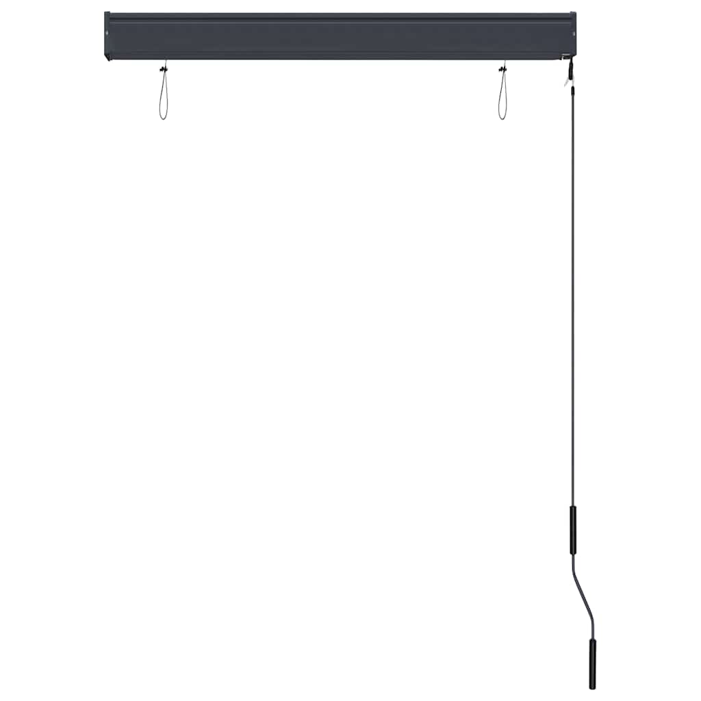 Tenda a Rullo per Esterni 100x250 cm Blu e Bianca