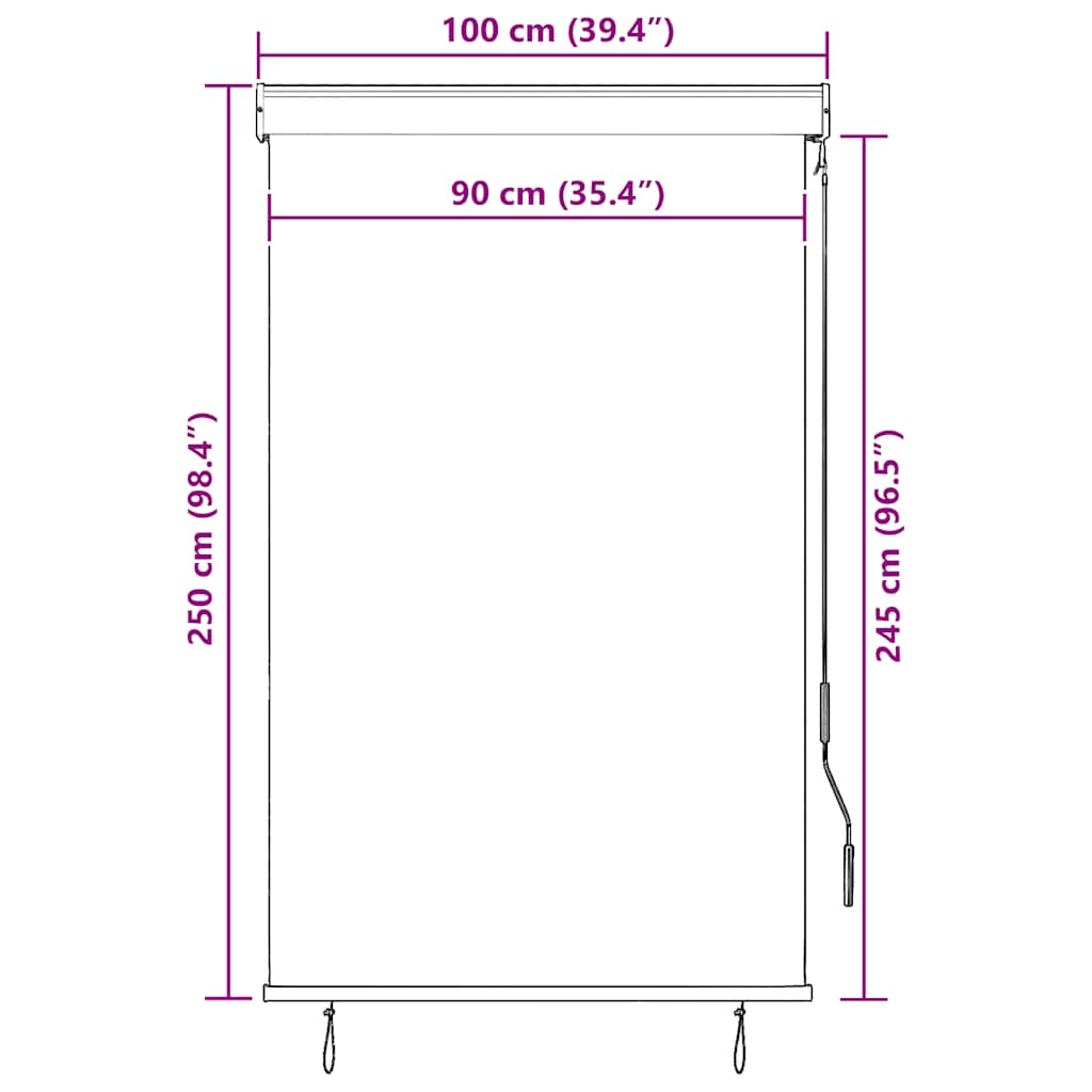 Tenda a Rullo per Esterni 100x250 cm Giallo e Blu