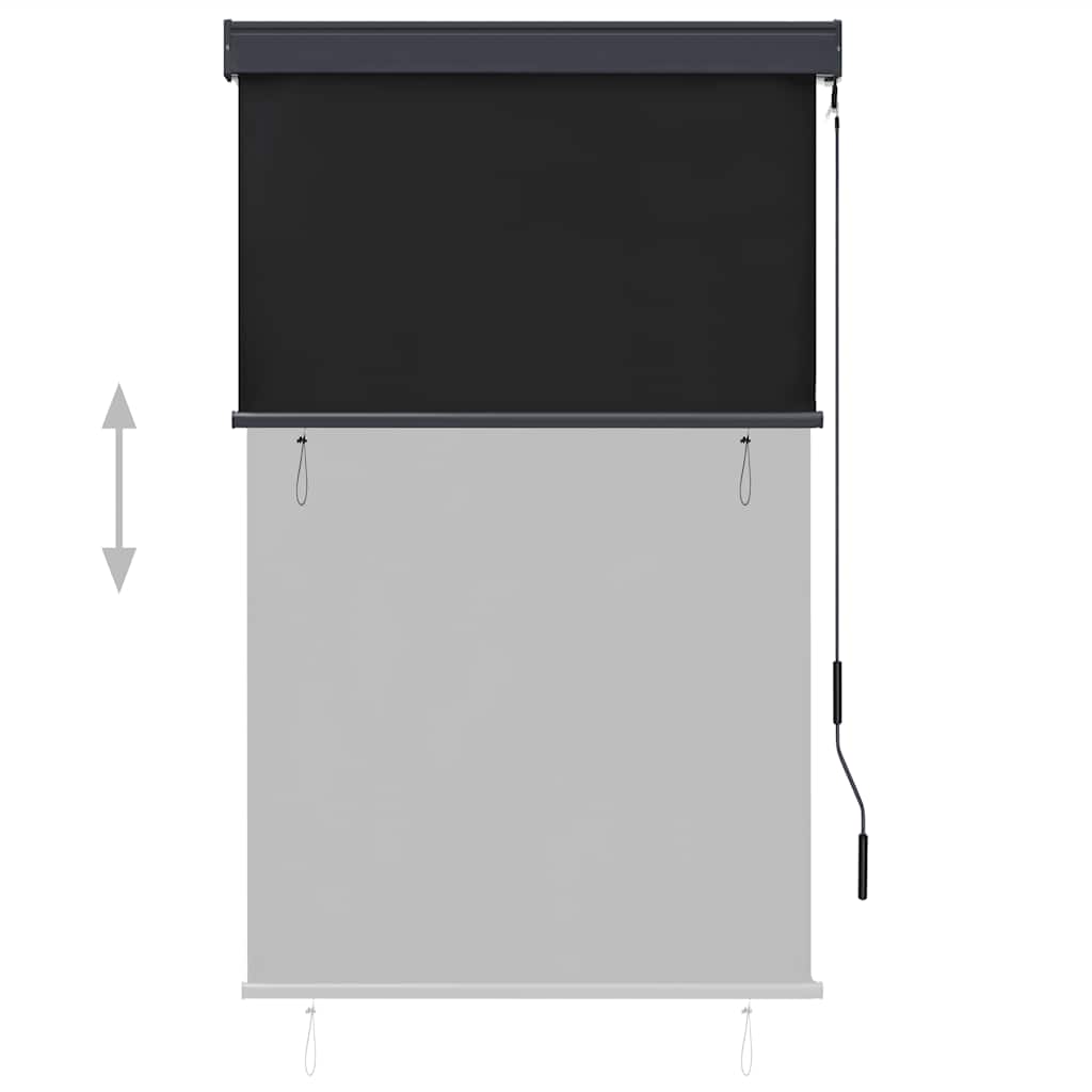 Tenda a Rullo per Esterni 100x250 cm Antracite