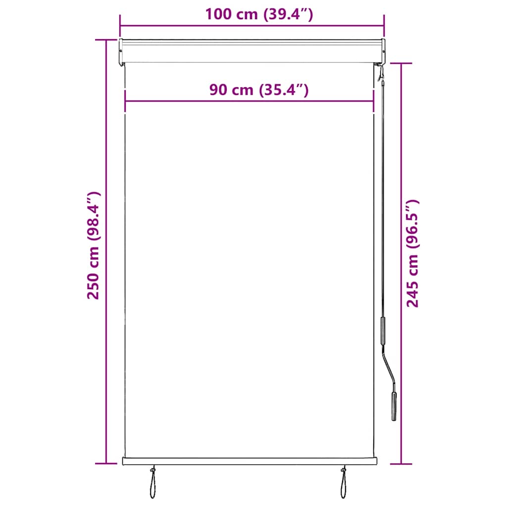 Tenda a Rullo per Esterni 100x250 cm Crema