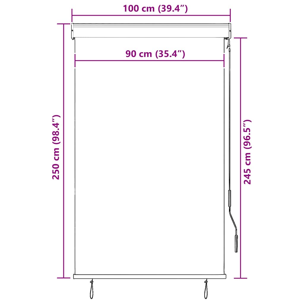 Tenda a Rullo per Esterni 100x250 cm Arancione e Marrone