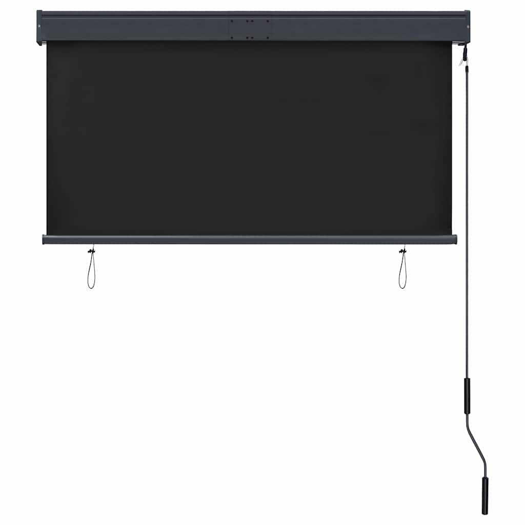 Tenda a Rullo per Esterni 120x250 cm Antracite