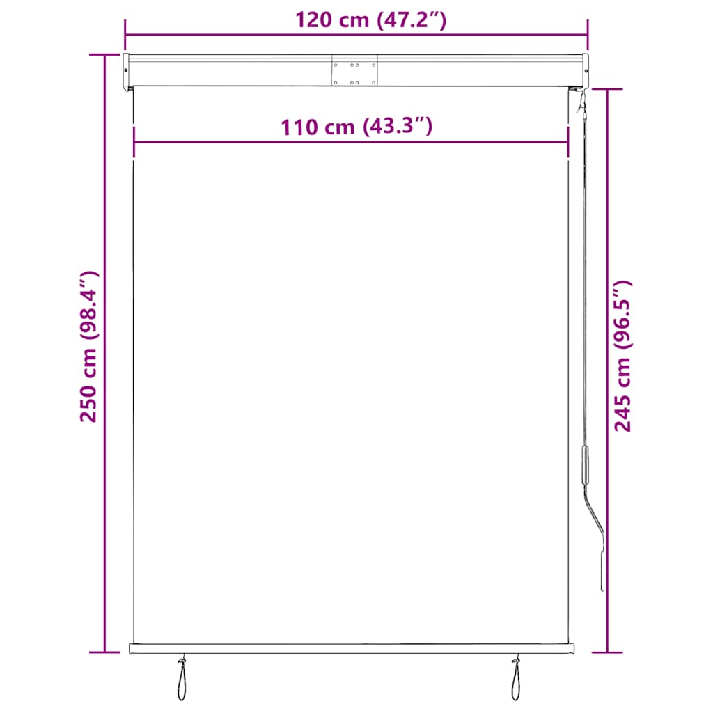 Tenda a Rullo per Esterni 120x250 cm Antracite