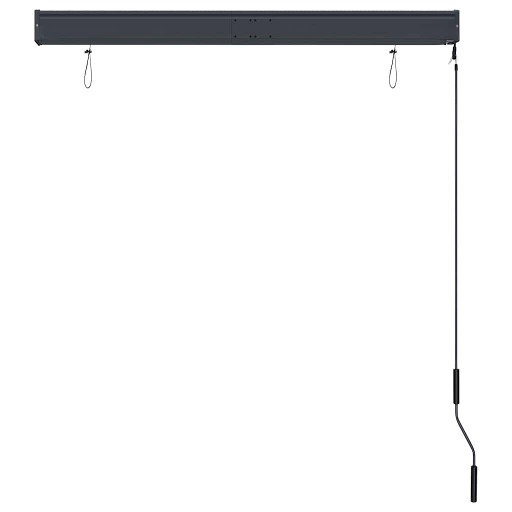 Tenda a Rullo per Esterni 120x250 cm Crema