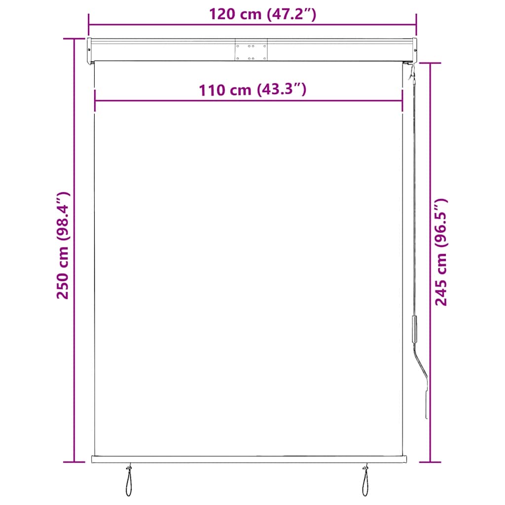Tenda a Rullo per Esterni 120x250 cm Crema