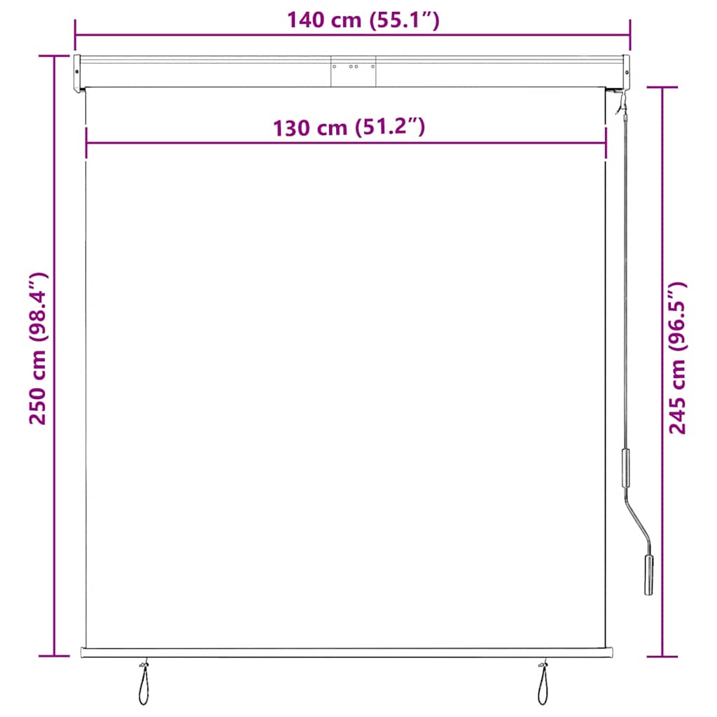 Tenda a Rullo per Esterni 140x250 cm Blu e Bianca