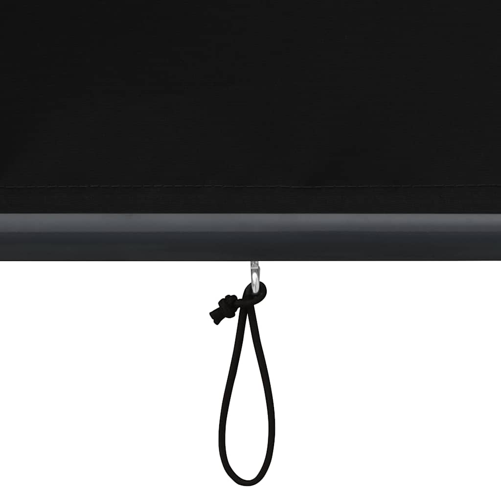 Tenda a Rullo per Esterni 140x250 cm Antracite