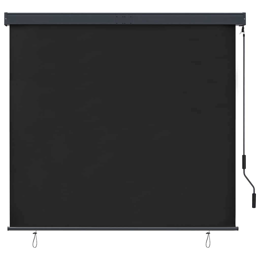 Tenda a Rullo per Esterni 160x250 cm Antracite