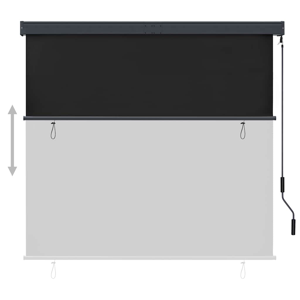 Tenda a Rullo per Esterni 160x250 cm Antracite
