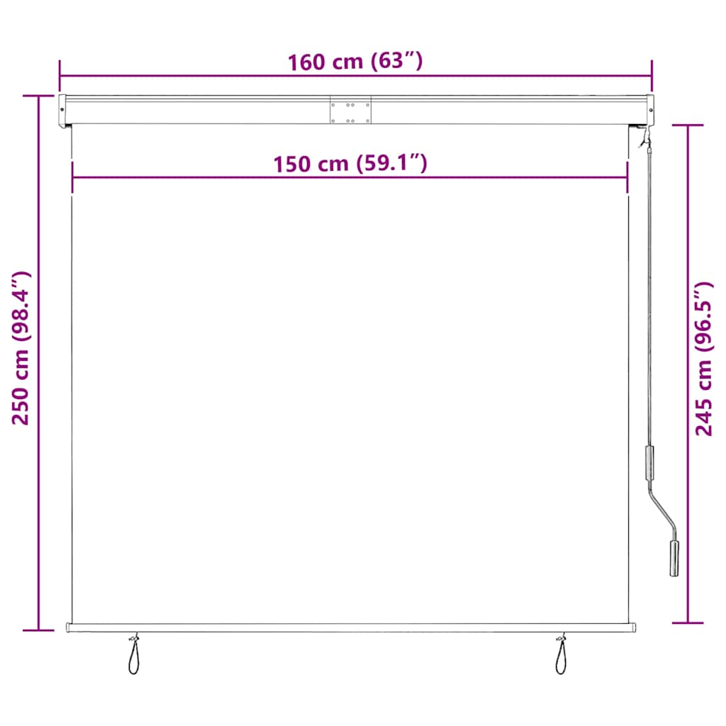 Tenda a Rullo per Esterni 160x250 cm Crema