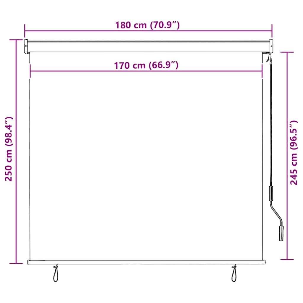 Tenda a Rullo per Esterni 170x250 cm Blu e Gialla