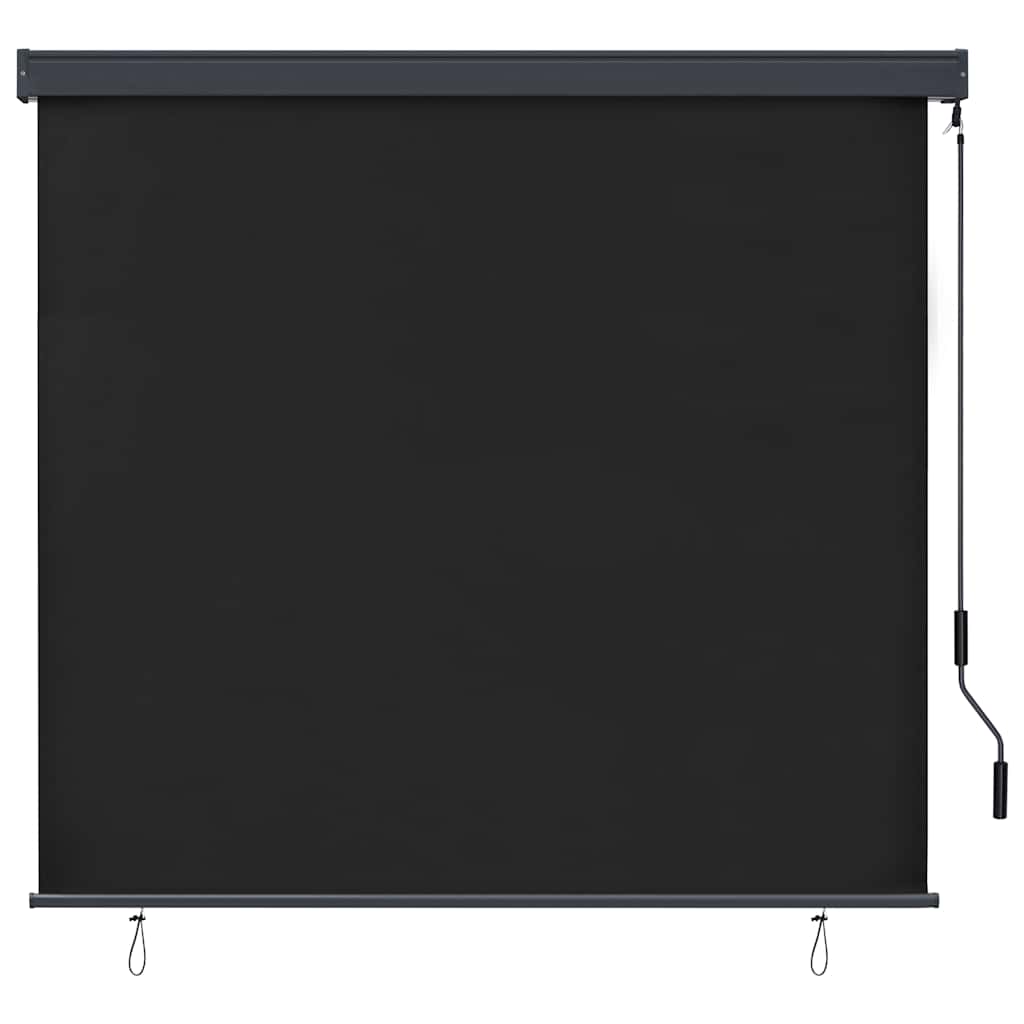 Tenda a Rullo per Esterni 170x250 cm Antracite