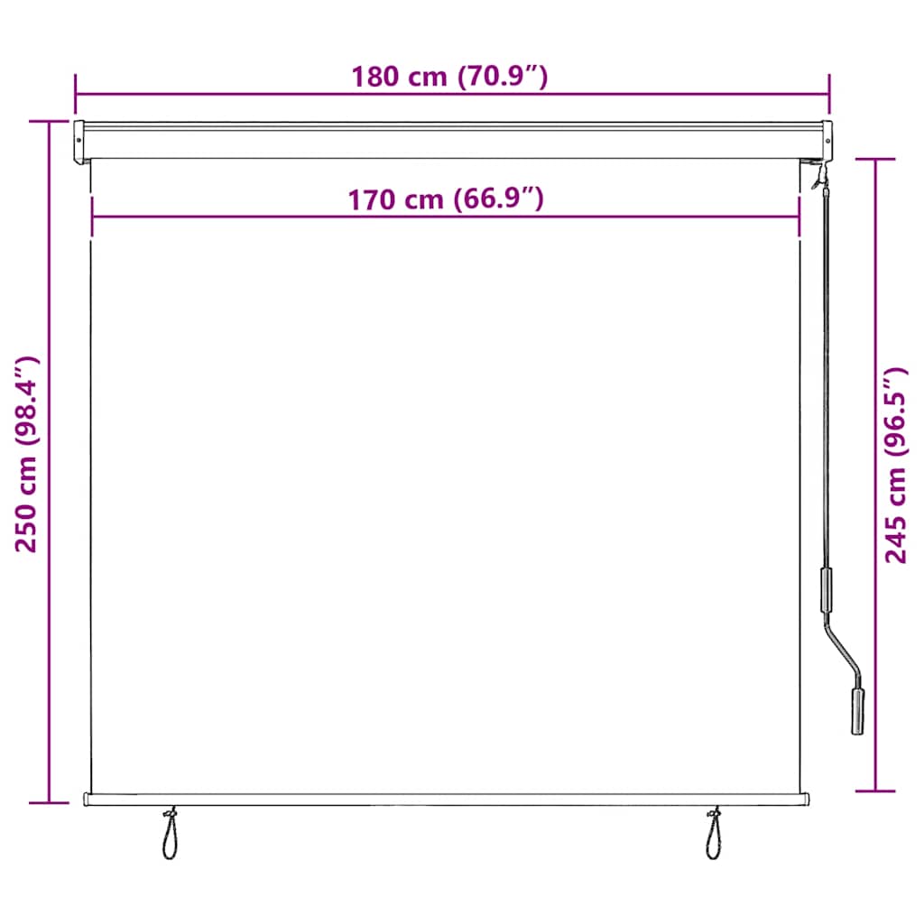 Tenda a Rullo per Esterni 170x250 cm Antracite