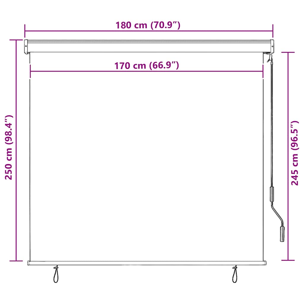 Tenda a Rullo per Esterni 170x250 cm Crema