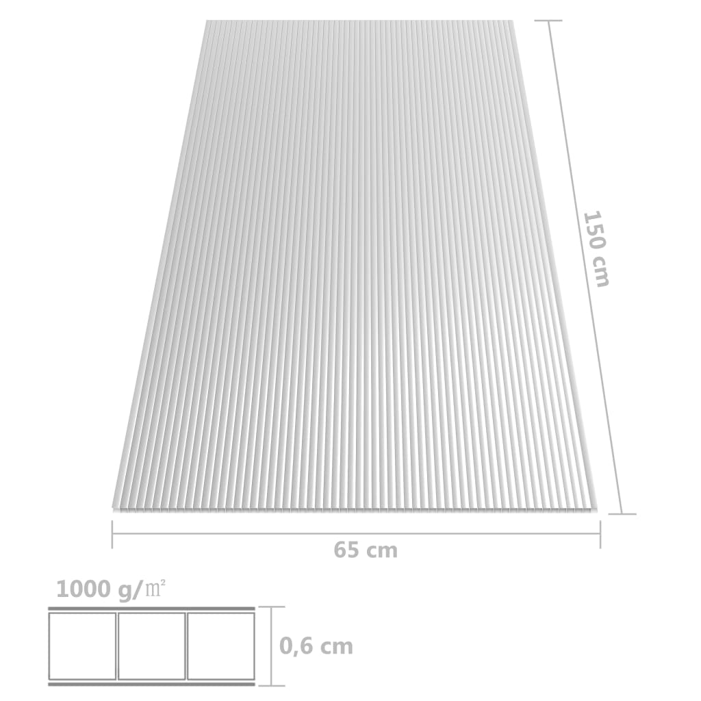 Pannelli in Policarbonato 2 pz 6 mm 150x65 cm