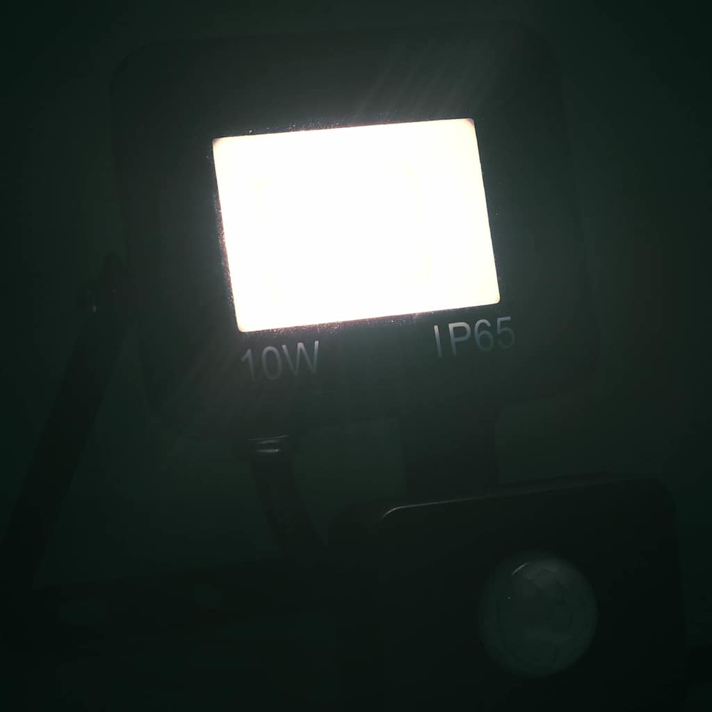 Faretto a LED con Sensore 10 W Bianco Freddo