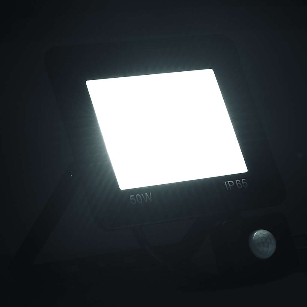 Faretto a LED con Sensore 50 W Bianco Freddo