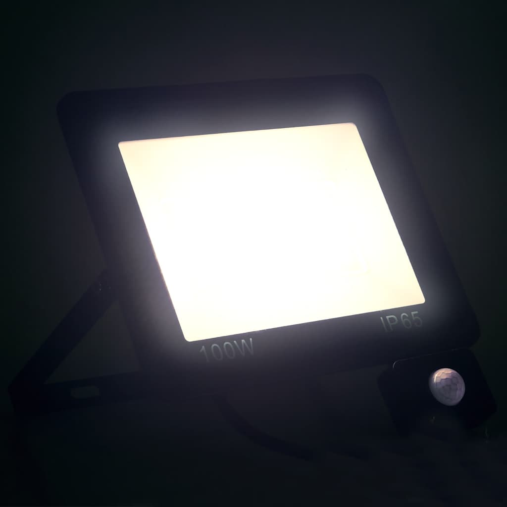 Faretto a LED con Sensore 100 W Bianco Freddo