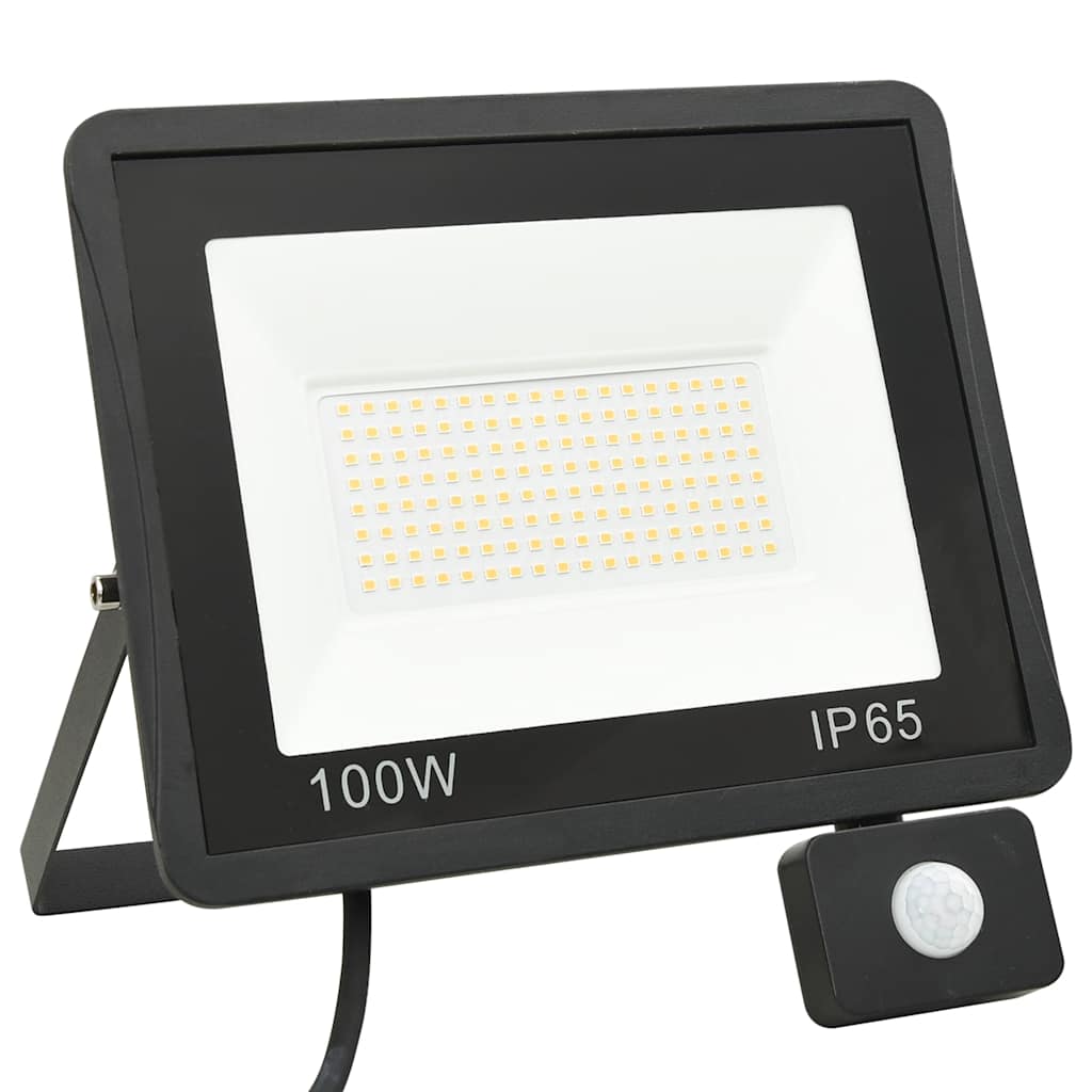 Faretto a LED con Sensore 100 W Bianco Freddo