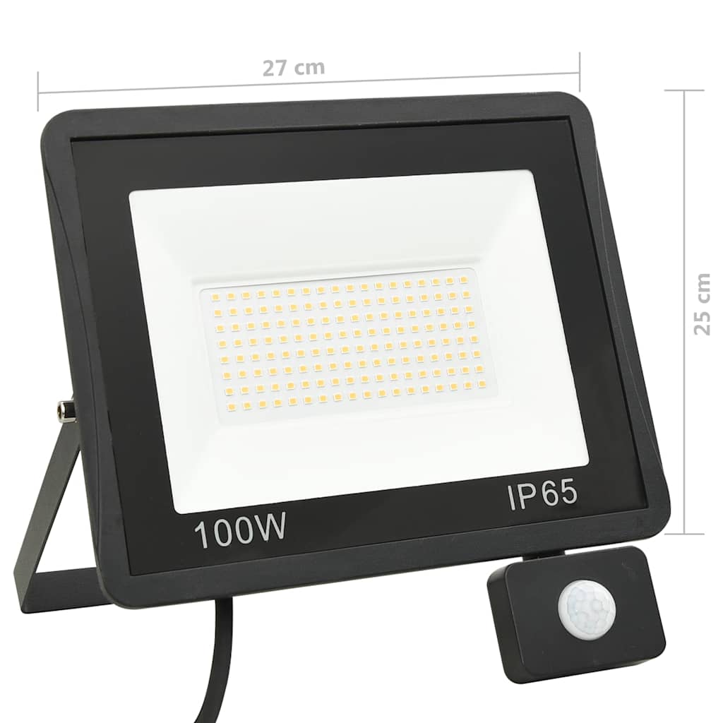 Faretto a LED con Sensore 100 W Bianco Freddo