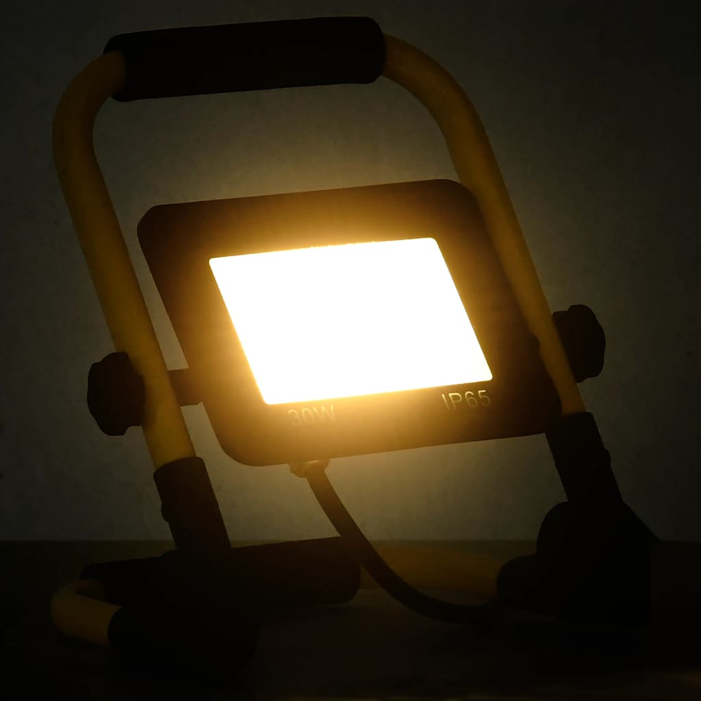 Faretto a LED con Maniglia 30 W Bianco Caldo