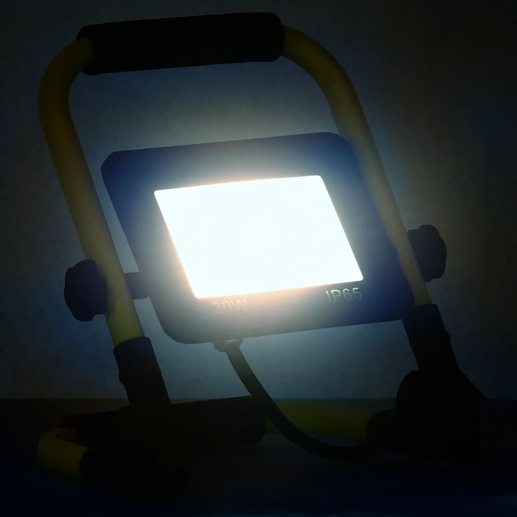 Faretto a LED con Maniglia 30 W Bianco Freddo