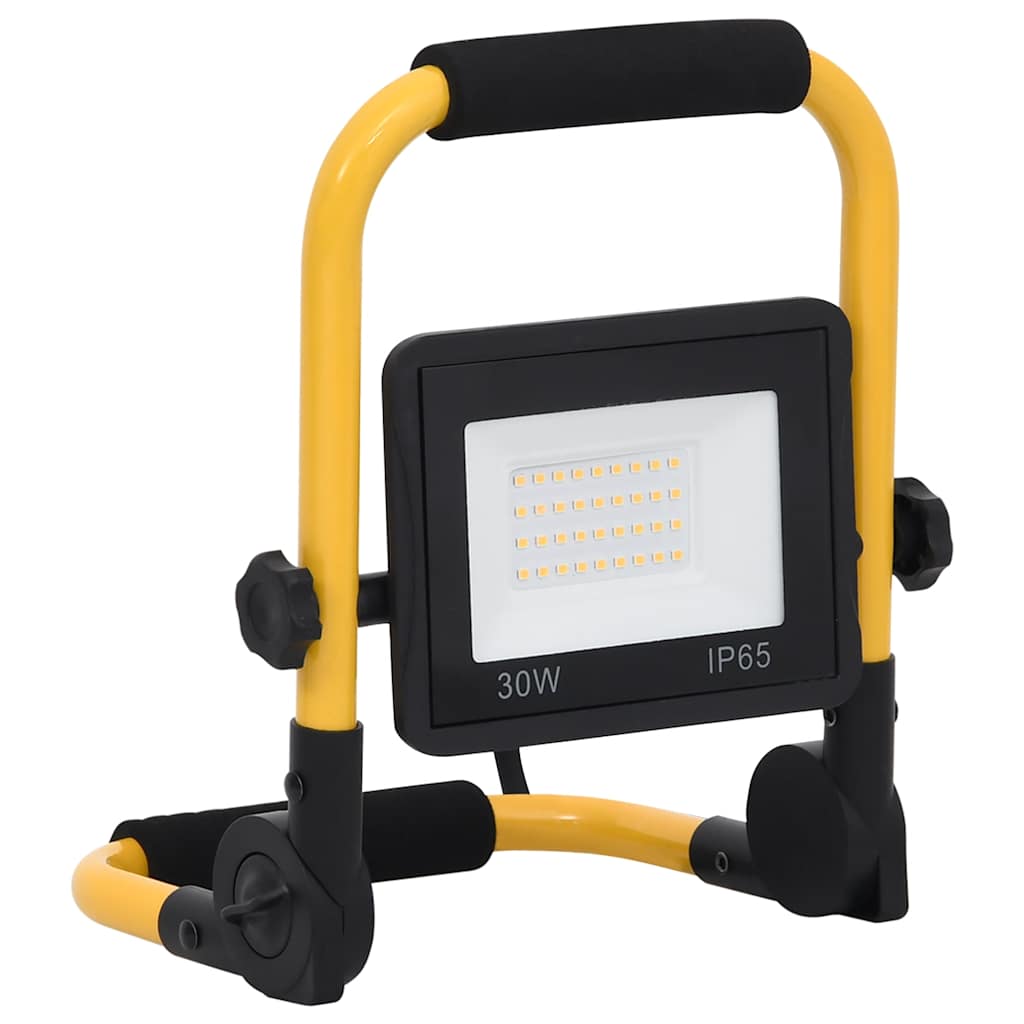 Faretto a LED con Maniglia 30 W Bianco Freddo