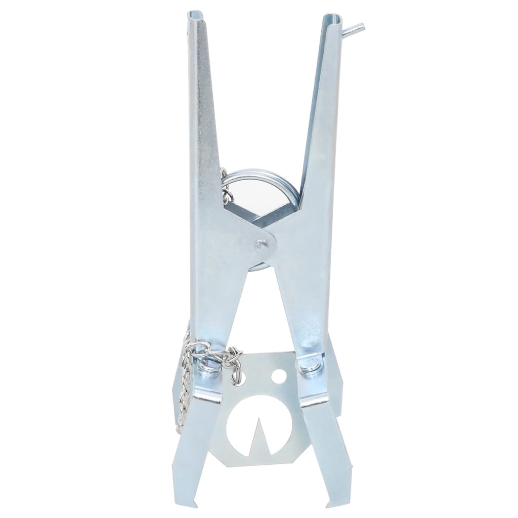 Trappole per Talpe 4 pz Argento Acciaio Zincato