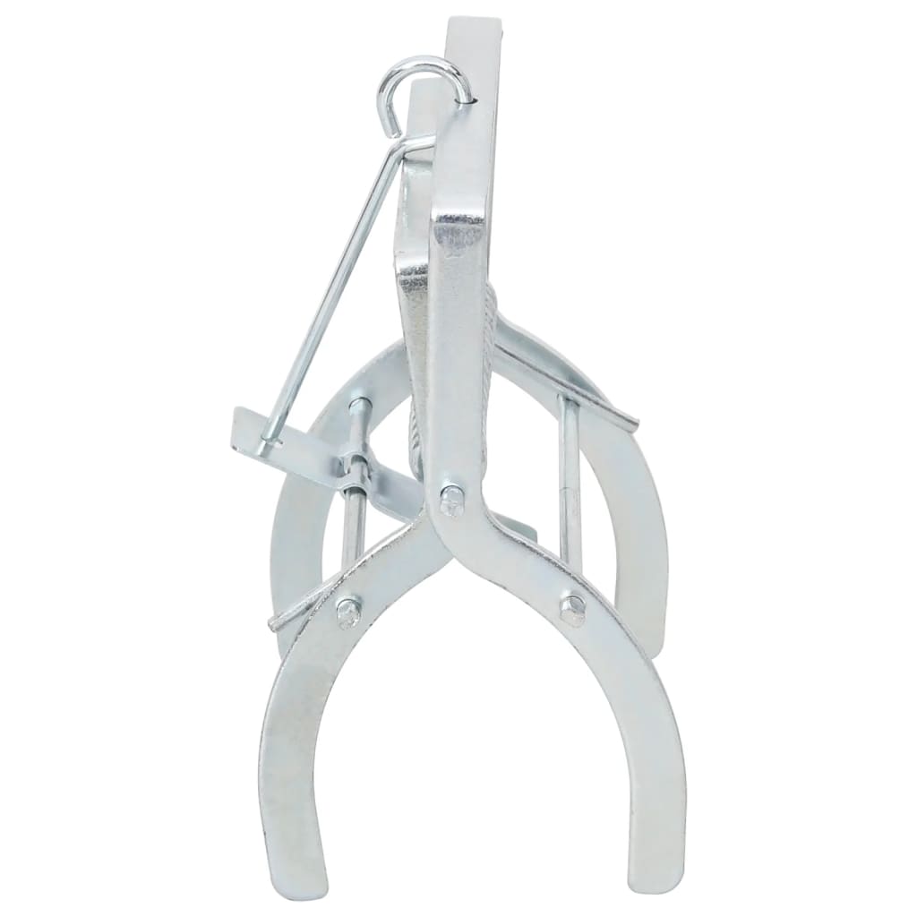 Trappole per Talpe 4 pz Argento Acciaio Zincato