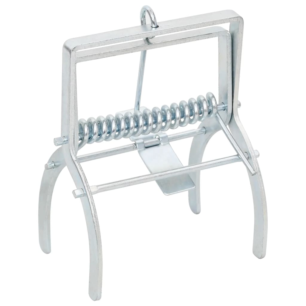 Trappole per Talpe 10 pz Argento Acciaio Zincato