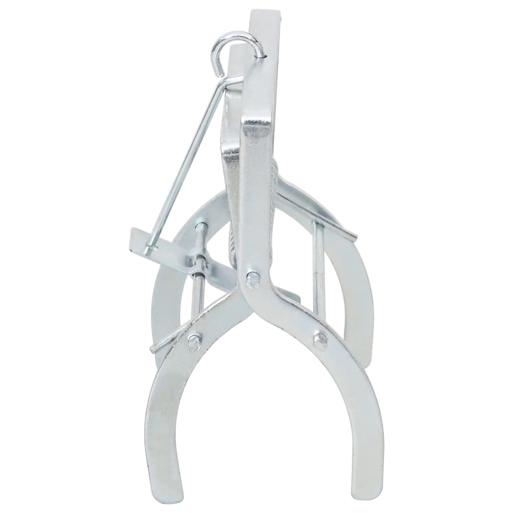 Trappole per Talpe 10 pz Argento Acciaio Zincato