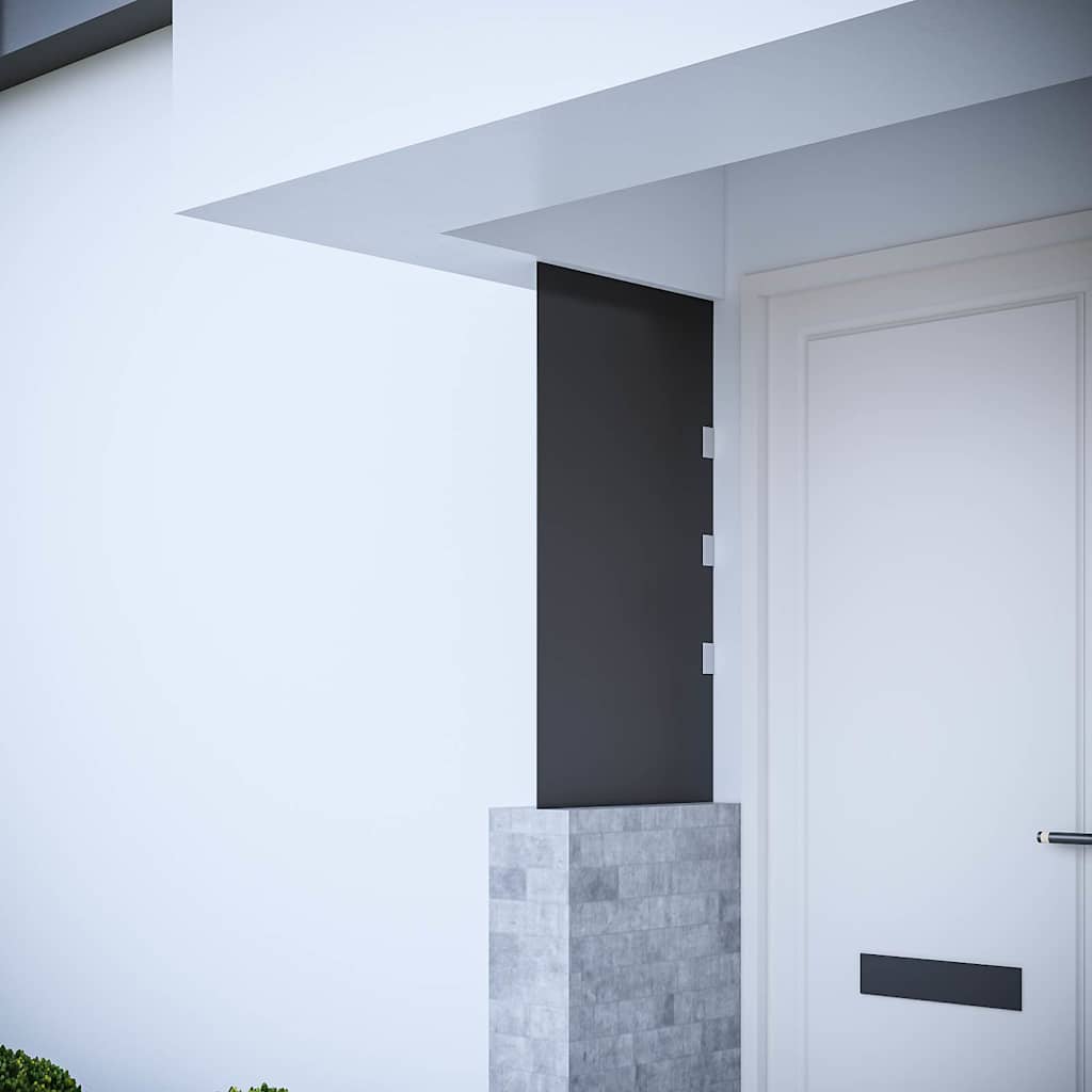 Pannello Laterale Tettoia Porta Nero 50x100 cm Vetro Temperato