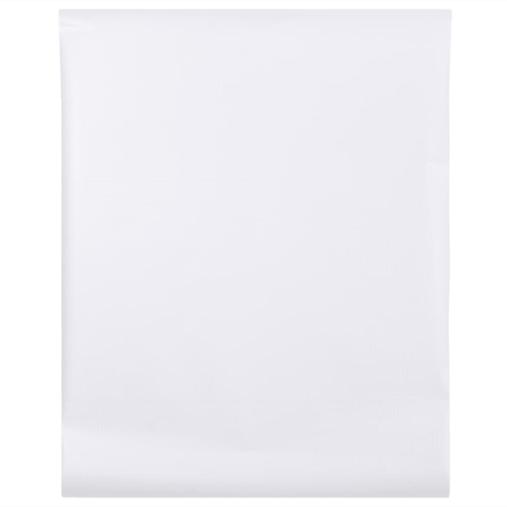 Pellicola per Finestra Smerigliata Bianca 60x2000 cm PVC