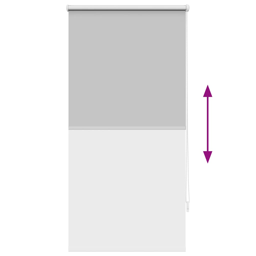 Tenda a rullo oscurante 64,4x120 cm Tessuto Larghezza 60 cm Grigio