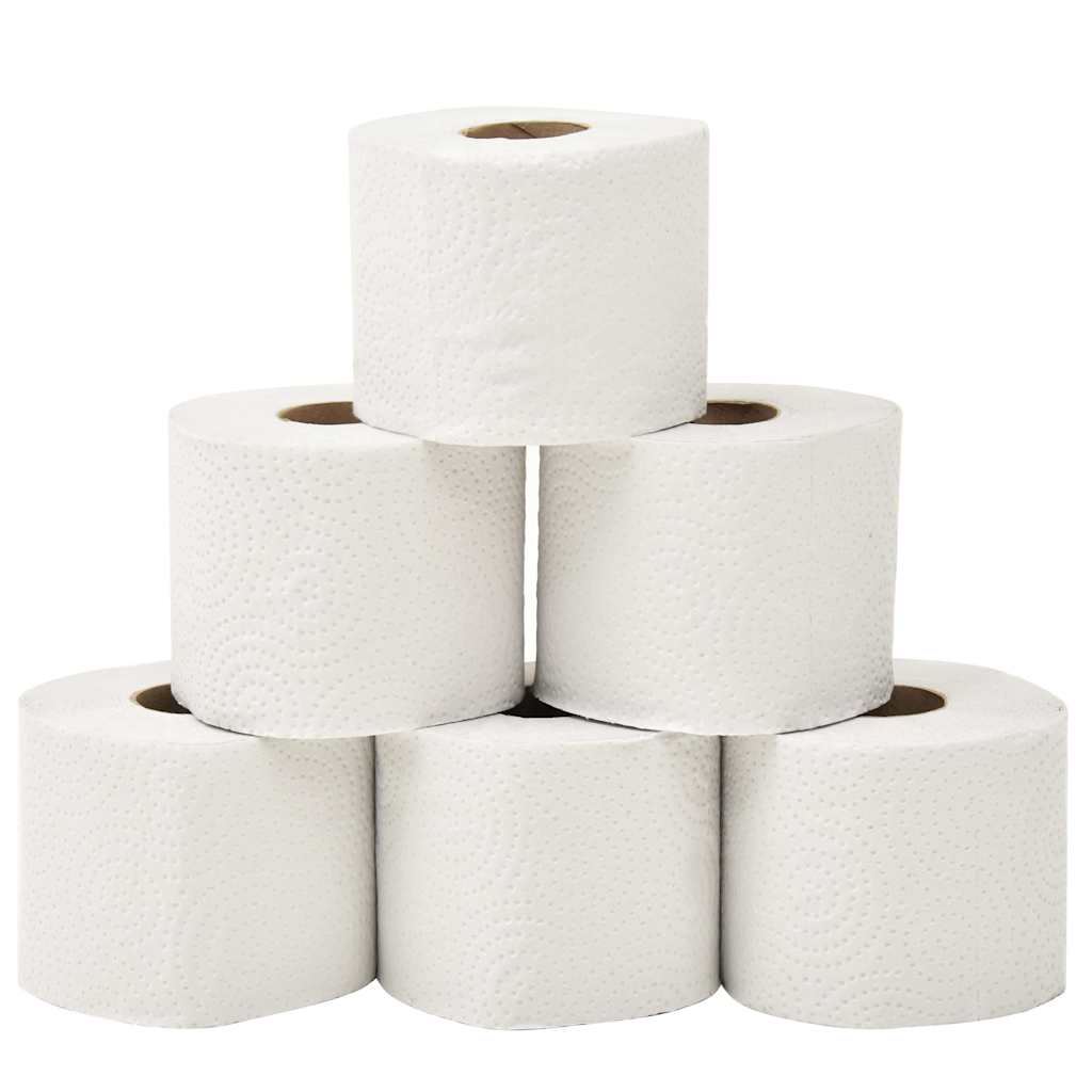 Carta Igienica Goffrata a 2 Veli 128 Rotoli 250 Fogli