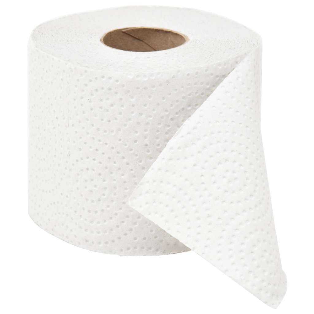 Carta Igienica Goffrata a 2 Veli 128 Rotoli 250 Fogli