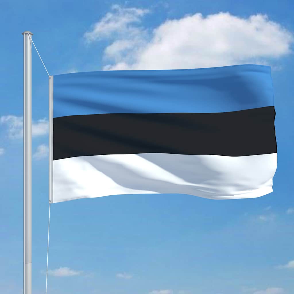 Bandiera dell'Estonia con Pennone in Alluminio 6,2 m